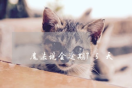 魔法现金逾期75天