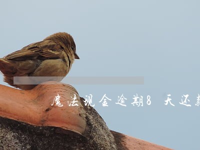 魔法现金逾期8天还款额 魔法现金逾期8天还款额
