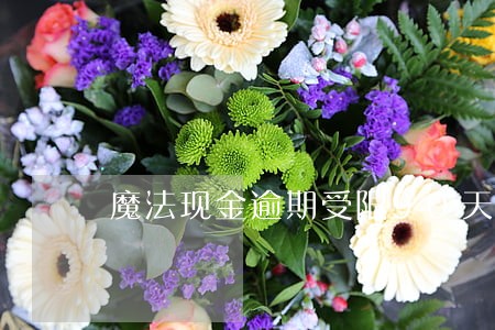 魔法现金逾期受限90天