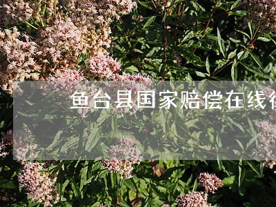 鱼台县国家赔偿在线律师 鱼台县国家赔偿在线律师