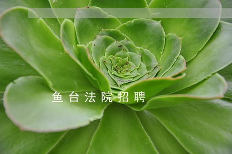 鱼台法院招聘 鱼台法院招聘