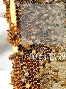 鱼台高效债务纠纷律师 鱼台高效债务纠纷律师