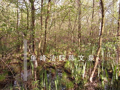 鱼峰法院陈文泉 鱼峰法院陈文泉