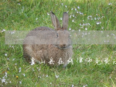 鲁山县在线律师免费法律咨询 鲁山县在线律师免费法律咨询