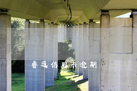 鲁迅信用卡逾期 鲁迅信用卡逾期