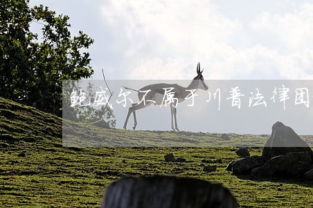 鲍威尔不属于川普法律团队 鲍威尔不属于川普法律团队