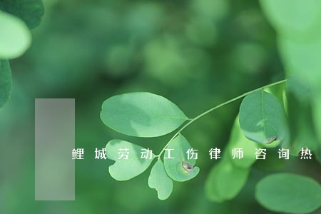 鲤城劳动工伤律师咨询热线