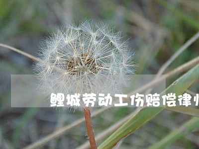 鲤城劳动工伤赔偿律师哪家好 鲤城劳动工伤赔偿律师哪家好