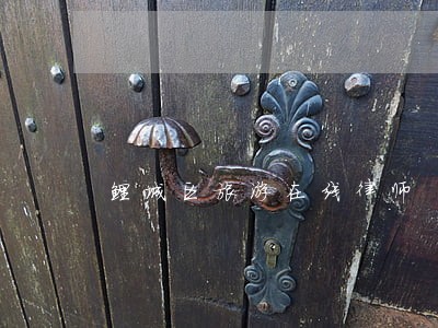 鲤城区旅游在线律师