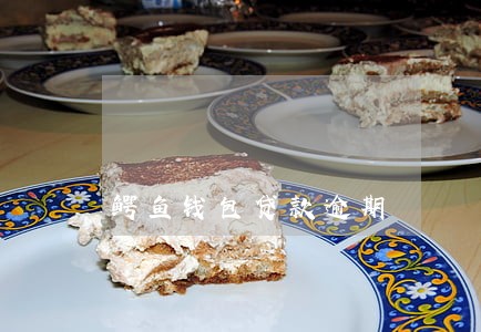 鳄鱼钱包贷款逾期 鳄鱼钱包贷款逾期