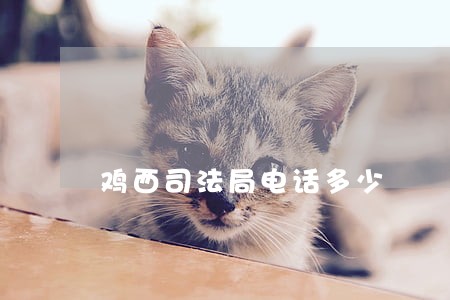 鸡西司法局电话多少