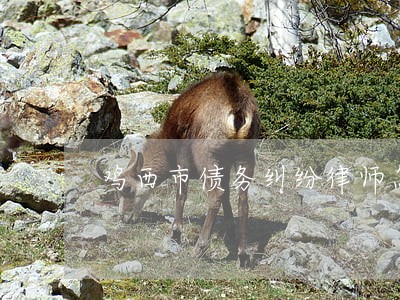 鸡西市债务纠纷律师怎样收费 鸡西市债务纠纷律师怎样收费