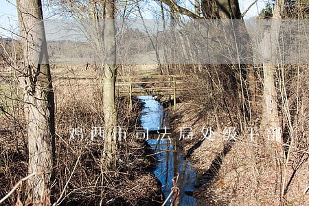鸡西市司法局处级干部