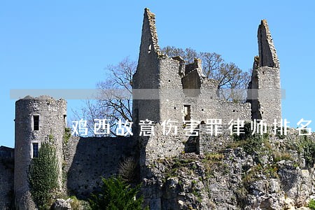 鸡西故意伤害罪律师排名
