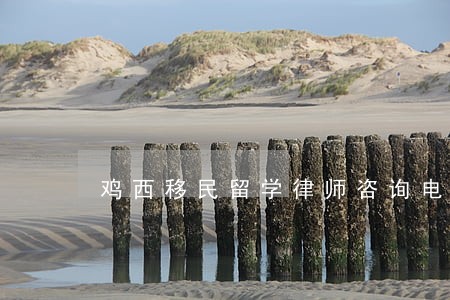 鸡西移民留学律师咨询电话 鸡西移民留学律师咨询电话