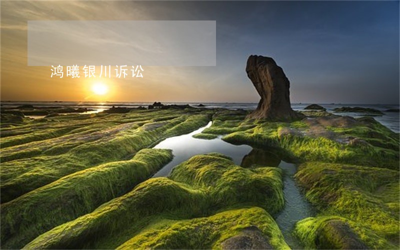 鸿曦银川诉讼