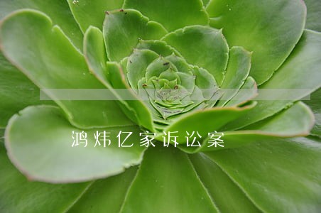 鸿炜亿家诉讼案 鸿炜亿家诉讼案