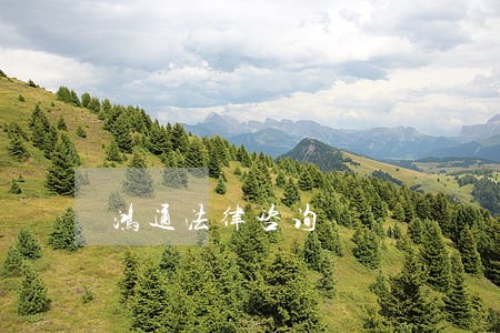 鸿通法律咨询 鸿通法律咨询