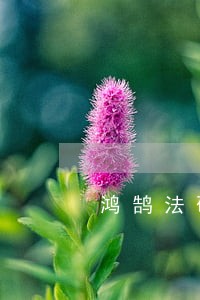 鸿鹄法硕暑期集训营民法晨测3 鸿鹄法硕暑期集训营民法晨测3