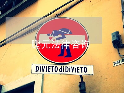 鹏元法律咨询