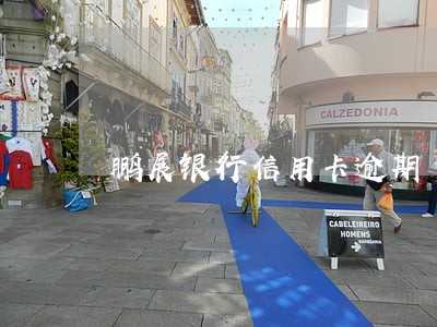 鹏展银行信用卡逾期 鹏展银行信用卡逾期