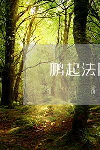 鹏起法院判决 鹏起法院判决