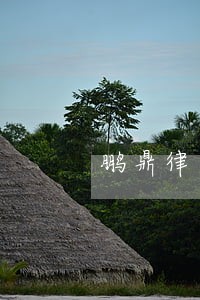 鹏鼎律师 鹏鼎律师