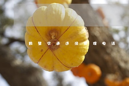鹤壁交通违法处理电话 鹤壁交通违法处理电话