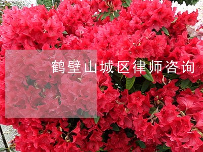 鹤壁山城区律师咨询 鹤壁山城区律师咨询