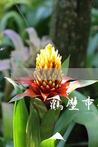 鹤壁市债务起诉律师 鹤壁市债务起诉律师
