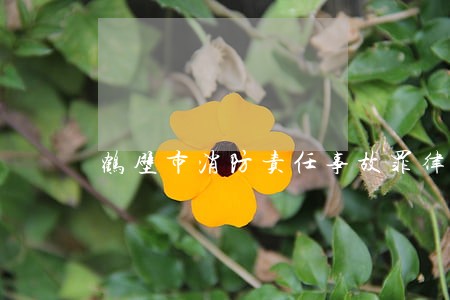 鹤壁市消防责任事故罪律师咨询