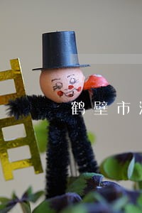 鹤壁市淇滨区法院拍卖房产