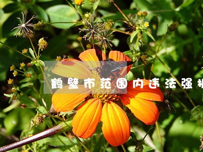 鹤壁市范围内违法强拆 鹤壁市范围内违法强拆