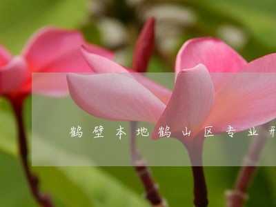 鹤壁本地鹤山区专业刑事律师推荐 鹤壁本地鹤山区专业刑事律师推荐