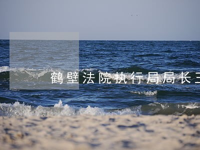 鹤壁法院执行局局长王光亮 鹤壁法院执行局局长王光亮
