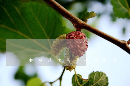 鹤壁消信用卡逾期电话
