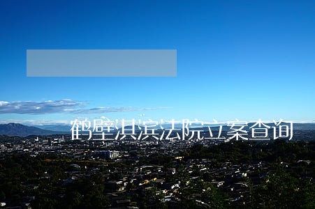 鹤壁淇滨法院立案查询 鹤壁淇滨法院立案查询