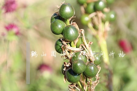 鹤山团体法律顾问价格 鹤山团体法律顾问价格