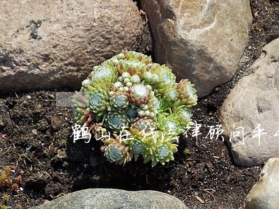 鹤山在线法律顾问平台 鹤山在线法律顾问平台