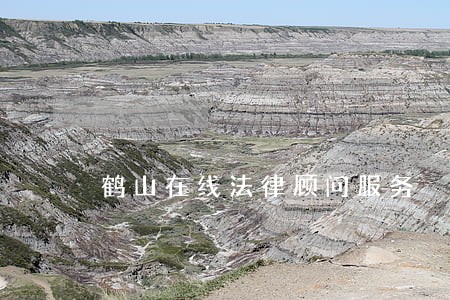 鹤山在线法律顾问服务 鹤山在线法律顾问服务