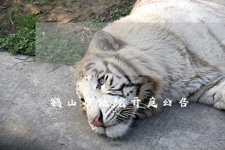鹤山市法院开庭公告