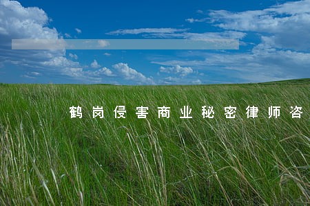 鹤岗侵害商业秘密律师咨询电话 鹤岗侵害商业秘密律师咨询电话