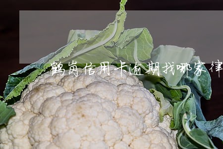 鹤岗信用卡逾期找哪家律师事务所 鹤岗信用卡逾期找哪家律师事务所