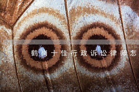 鹤岗十佳行政诉讼律师怎么收费
