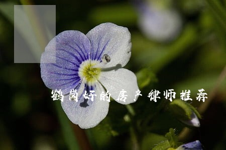 鹤岗好的房产律师推荐 鹤岗好的房产律师推荐