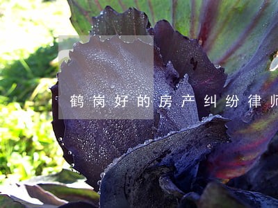 鹤岗好的房产纠纷律师 鹤岗好的房产纠纷律师