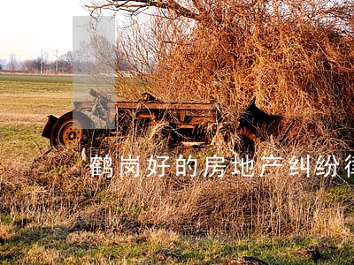 鹤岗好的房地产纠纷律师 鹤岗好的房地产纠纷律师