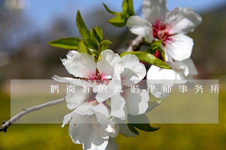 鹤岗好的离婚律师事务所 鹤岗好的离婚律师事务所