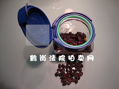 鹤岗法院拍卖网 鹤岗法院拍卖网