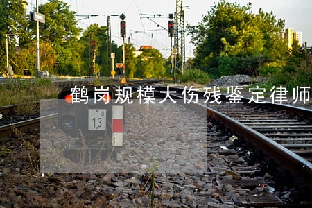 鹤岗规模大伤残鉴定律师